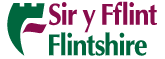 Sir y Fflint